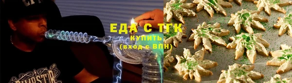 прущие грибы Гусев