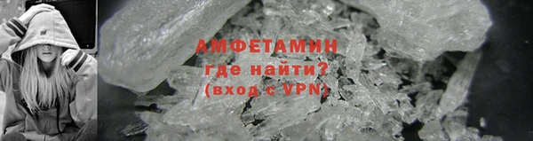 прущие грибы Гусев