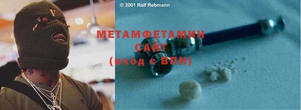 прущие грибы Гусев