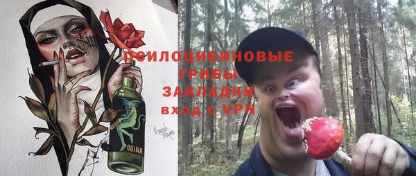 винт Гусь-Хрустальный