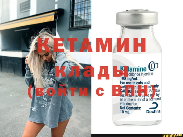 прущие грибы Гусев