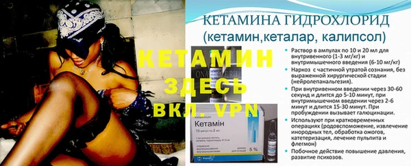 прущие грибы Гусев