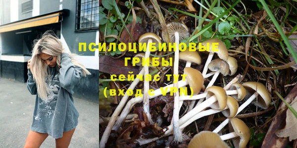 mdma Гусиноозёрск