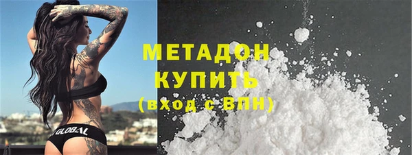 прущие грибы Гусев