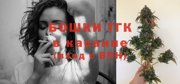 винт Гусь-Хрустальный