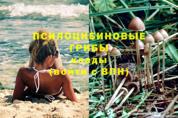 винт Гусь-Хрустальный