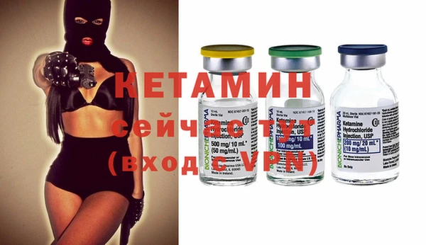прущие грибы Гусев