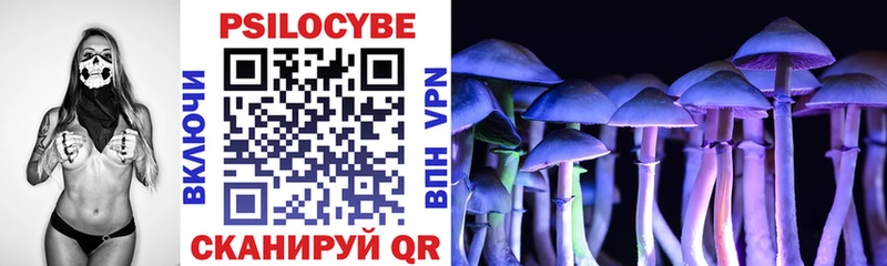 Псилоцибиновые грибы Cubensis  магазин    Новошахтинск 